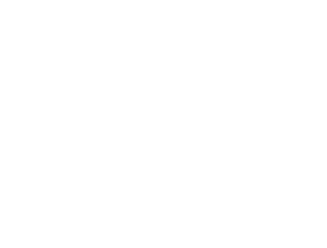 Logo PDI Bauunternehmen - Sanierung in Flensburg und Harrislee